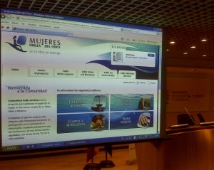 La mujer rural: ¿el nuevo referente del uso de las TIC en el hogar?