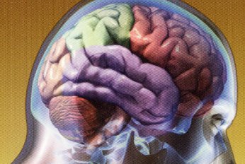 BitBrain y Cell2B, Premios Iberoamericanos a la Innovación y el Emprendimiento