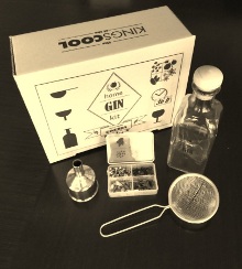 home-gin-kit