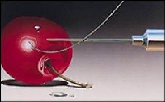 TC SA migra a Sage Murano ERP con Orbit