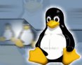 Aumentan los despliegues de Linux Container en la empresa