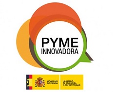 Pyme Innovadora