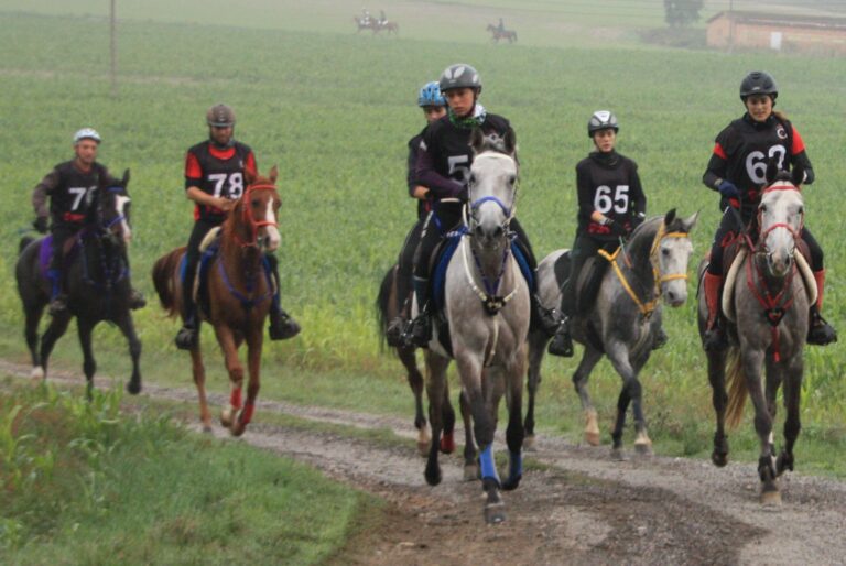 Endurance Lab anuncia una convocatoria para empresas ecuestres