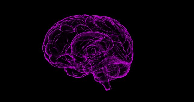 Leggi l'articolo Desde Zaragoza al foro mundial del neuromarketing