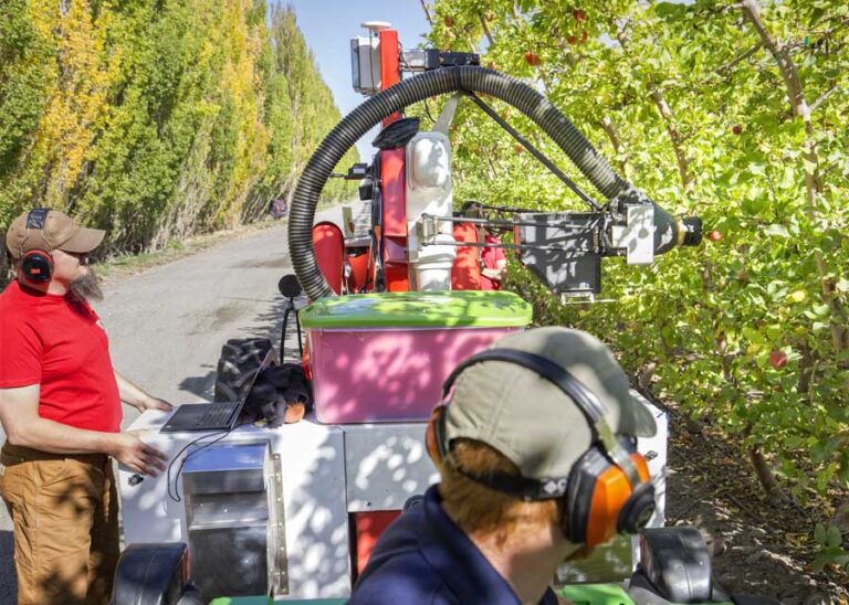 Leggi l'articolo Un robot para recolectar manzanas
