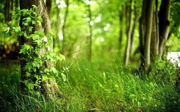 Invertir en la era del cambio climático
