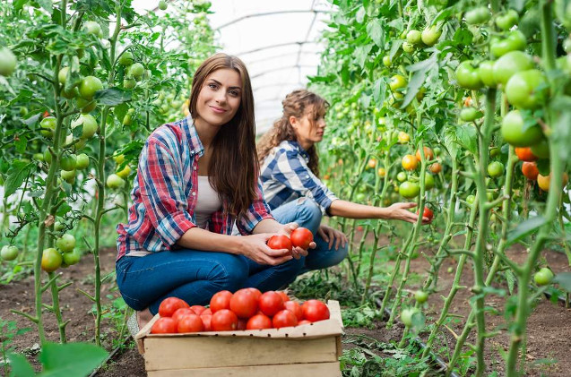 Abierta la segunda edición de los premios ‘Juntas por el Clima’ para ecoemprendedoras