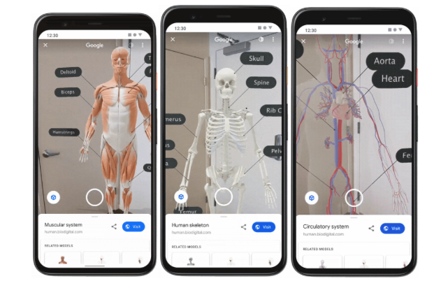 Cómo usar la realidad virtual y el 3D en tu buscador para aprender más