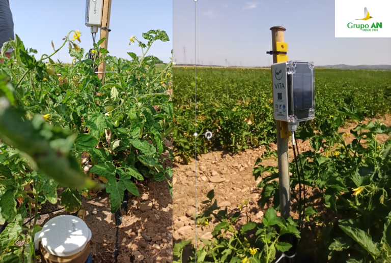 200 startups apuestan por solucionar los retos de innovación del sector agroalimentario