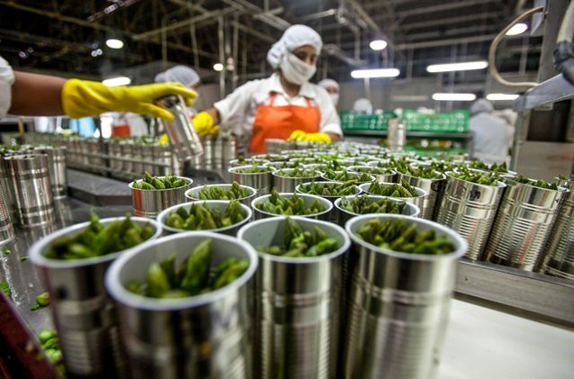 La Industria 4.0 del agroalimentario español no consigue despegar