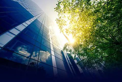 La sostenibilidad es la prioridad de inversión para el 72% de las empresas actualmente