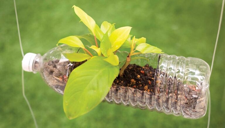 La industria europea de los plásticos avanza hacia la circularidad y la neutralidad carbónica