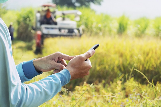 La escasez de trabajo y la conciliación llevan a la mujer rural a emprender