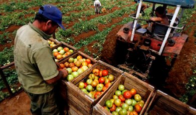 Agricultura Agricultura