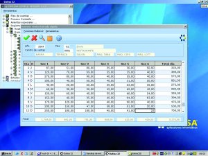 ERP Datisa